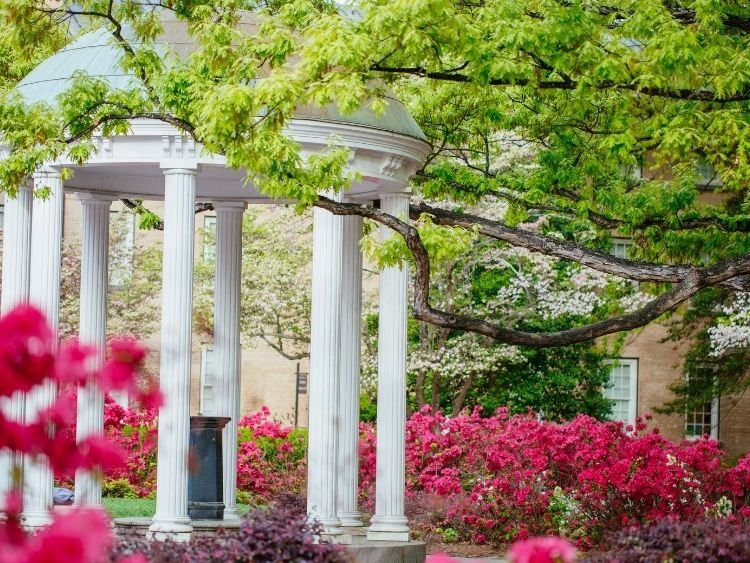 Ehrman UNC Chapel Hill CV Ehrman UNC Chapel Hill CV
