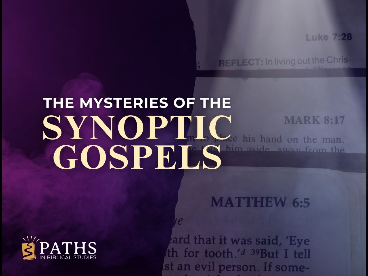 Mysteries of the Synoptic Gospels PBS 4x3