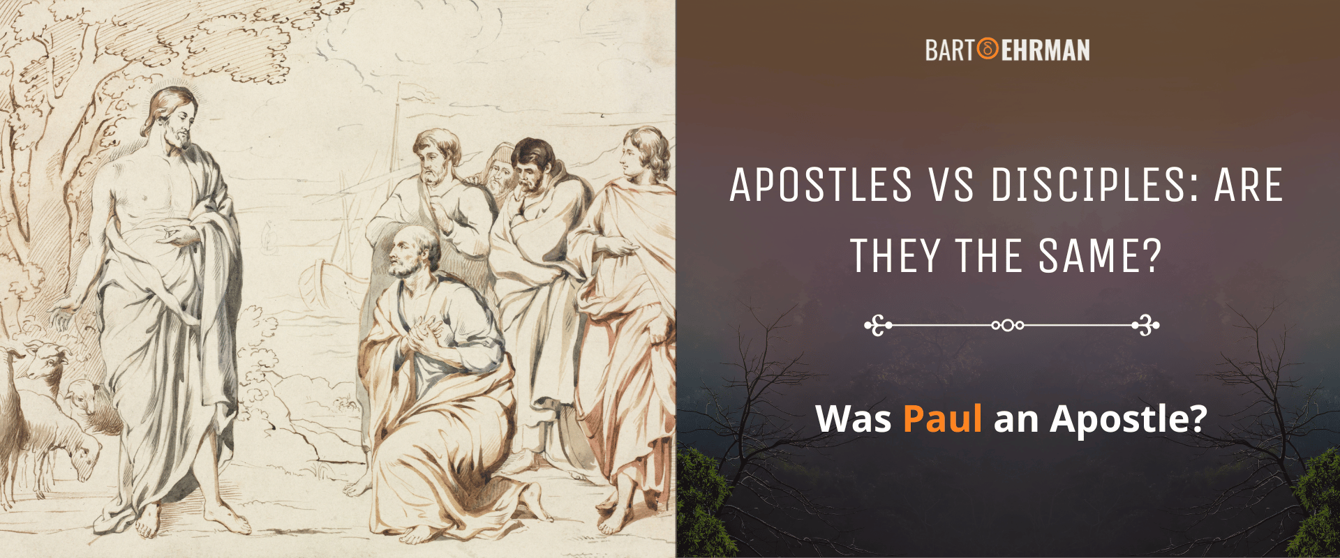 Apostles vs Disciples Are They the Same (And Was Paul an Apostle) Apostles vs Disciples Are They the Same (And Was Paul an Apostle)