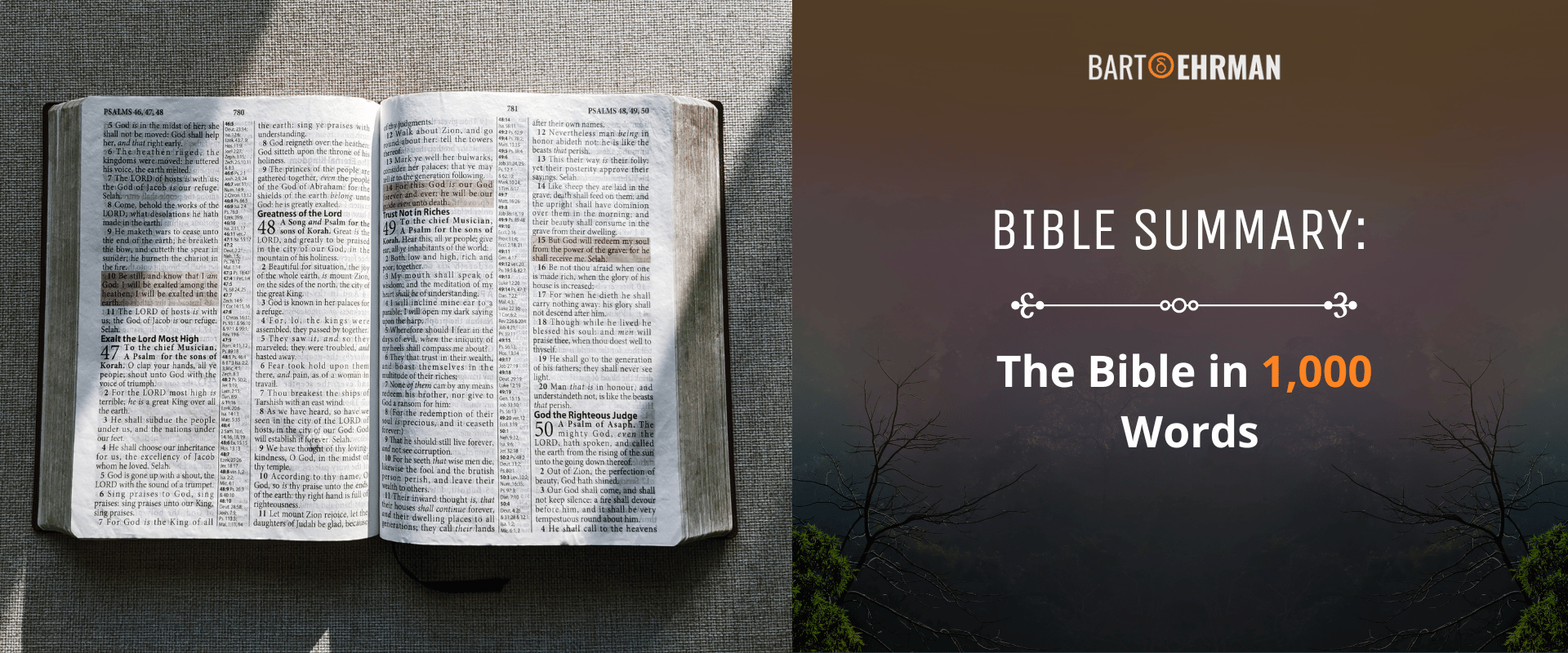 Bible summary Bible summary