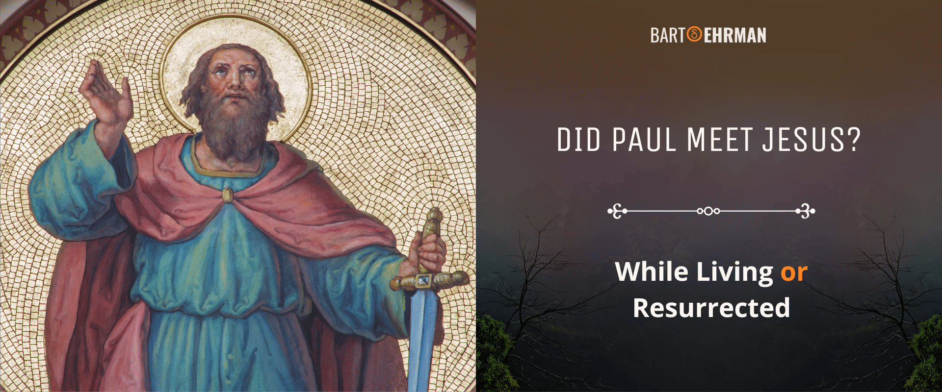 Did Paul Meet Jesus_ (While Living or Resurrected) Did Paul Meet Jesus_ (While Living or Resurrected)