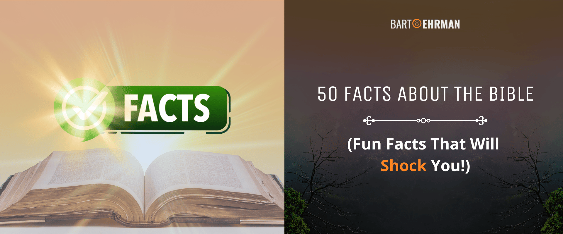 facts about the Bible facts about the Bible