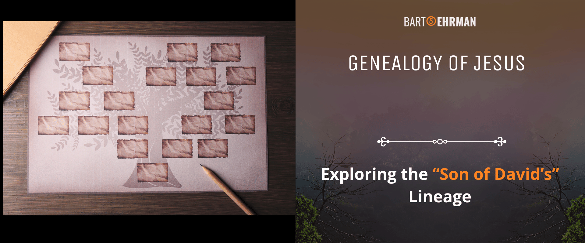 Genealogy of Jesus - Exploring the “Son of David’s” Lineage Genealogy of Jesus - Exploring the “Son of David’s” Lineage