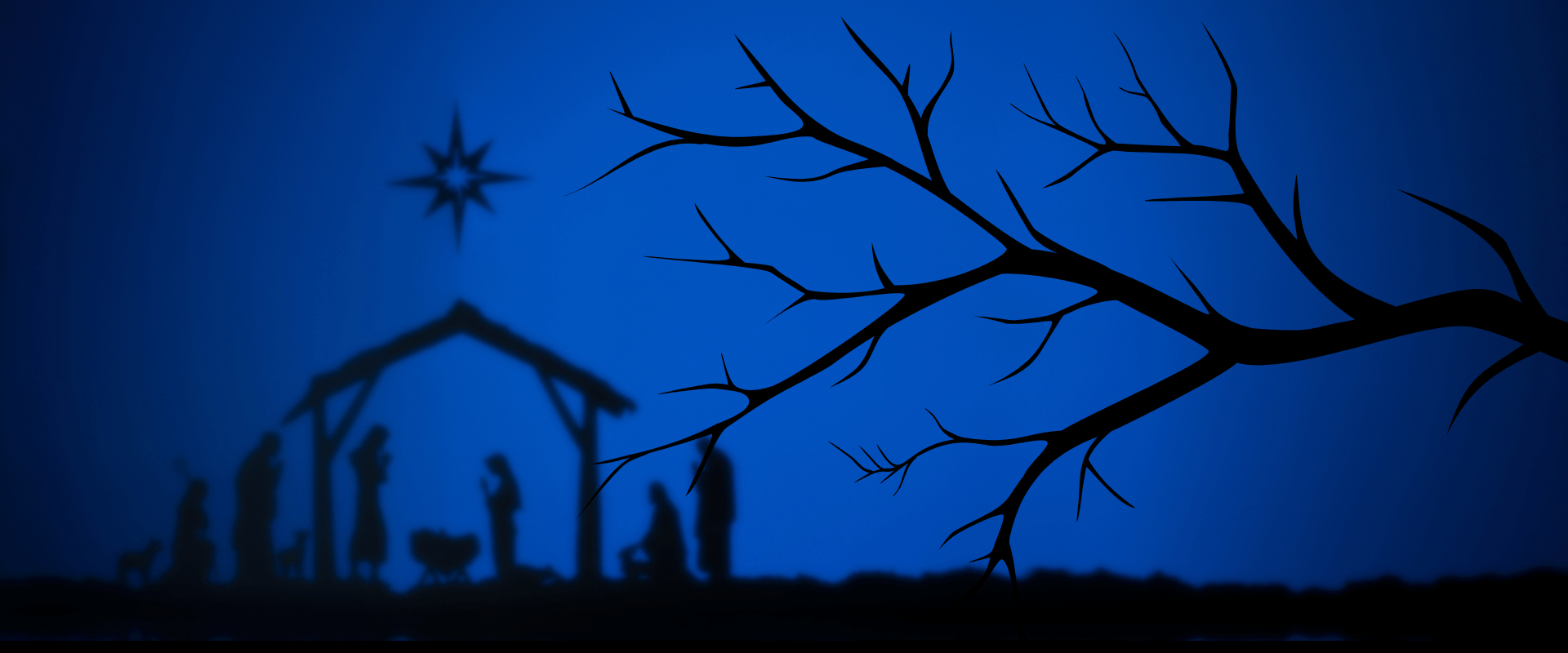 Jesus’ family tree