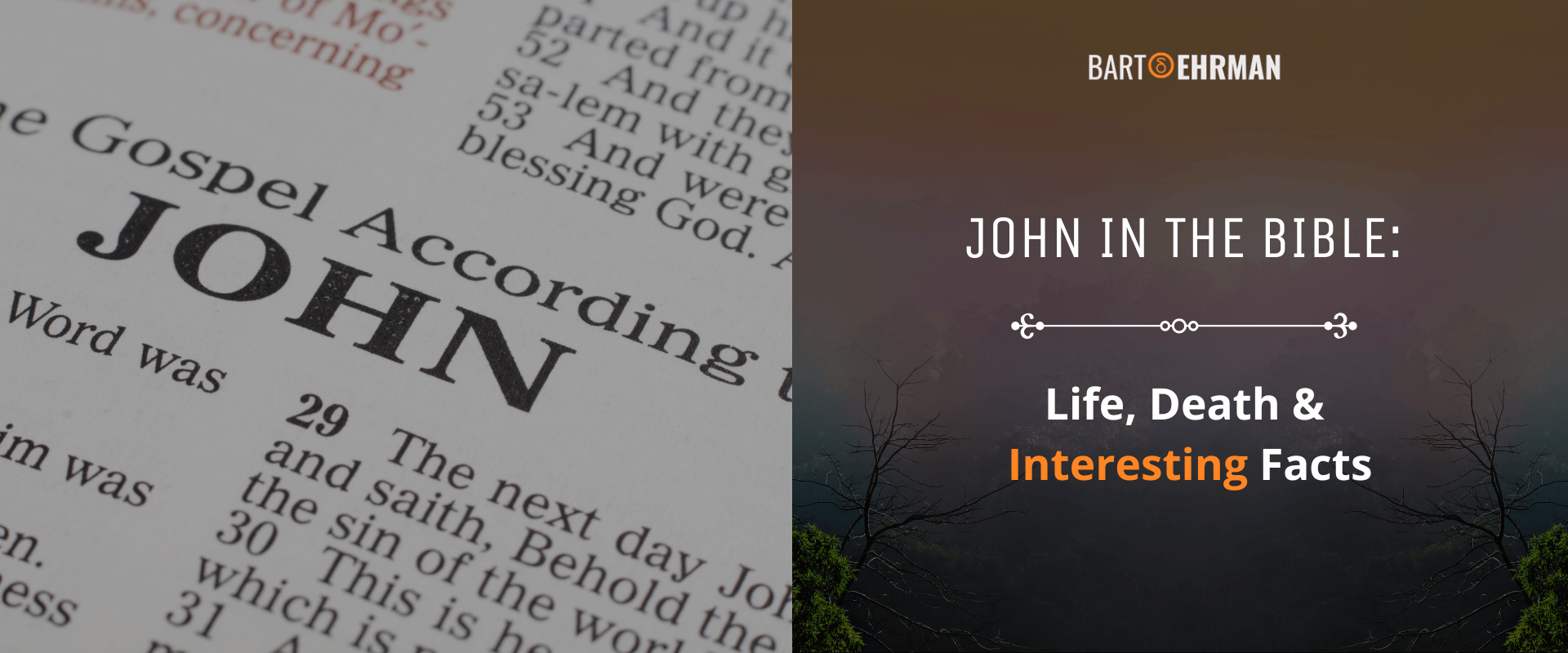 John in the Bible John in the Bible