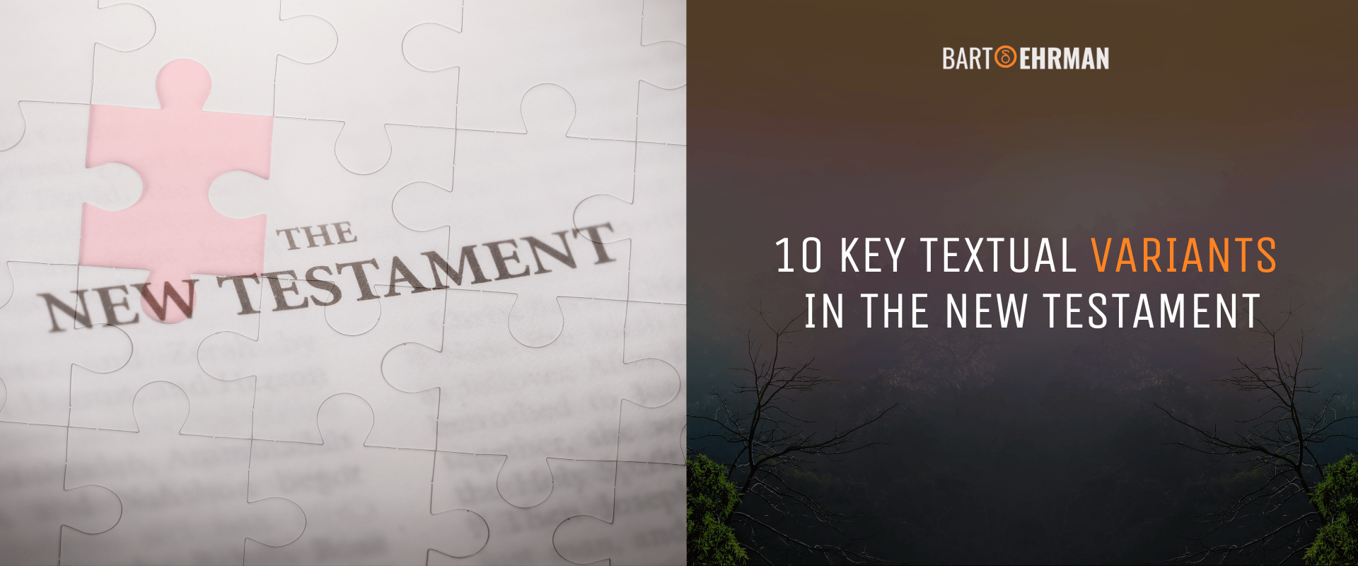 Textual variants in the New Testament Textual variants in the New Testament