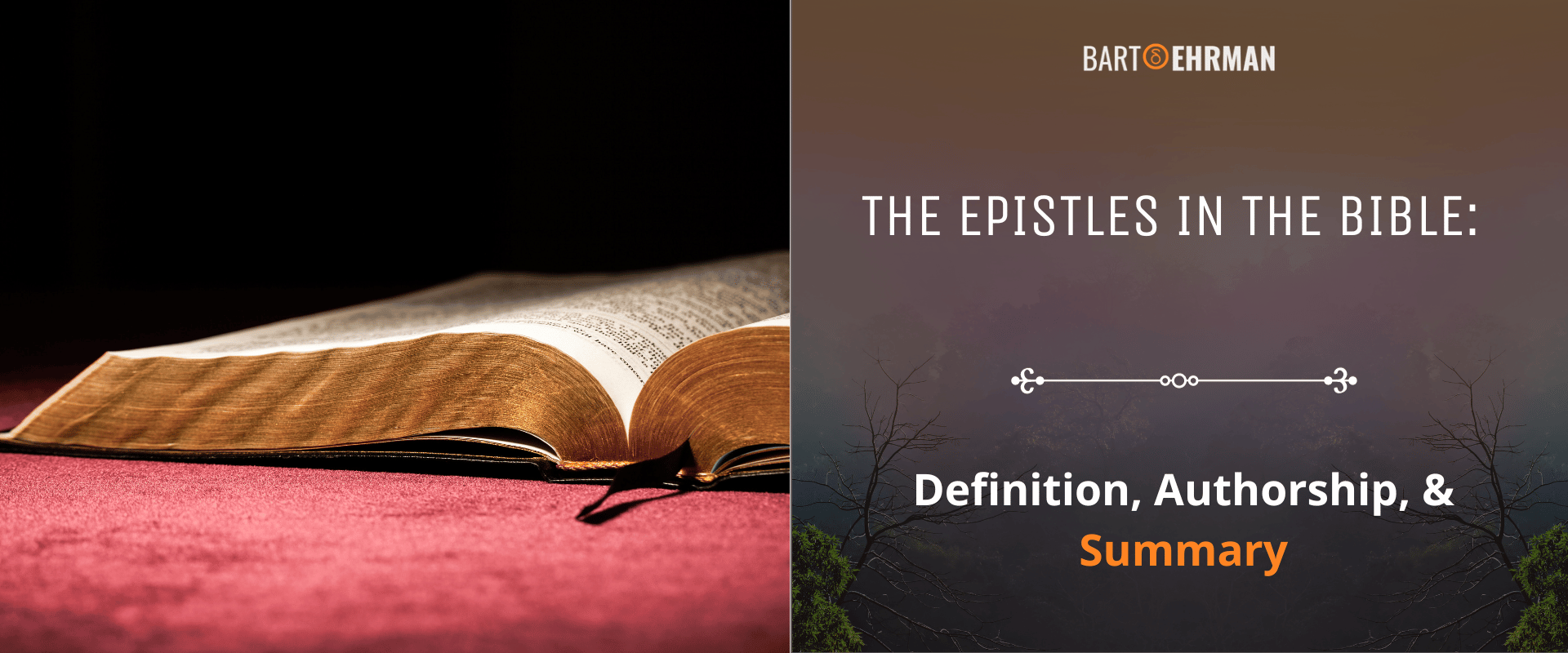 The Epistles in the Bible - Definition, Authorship, & Summary The Epistles in the Bible - Definition, Authorship, & Summary