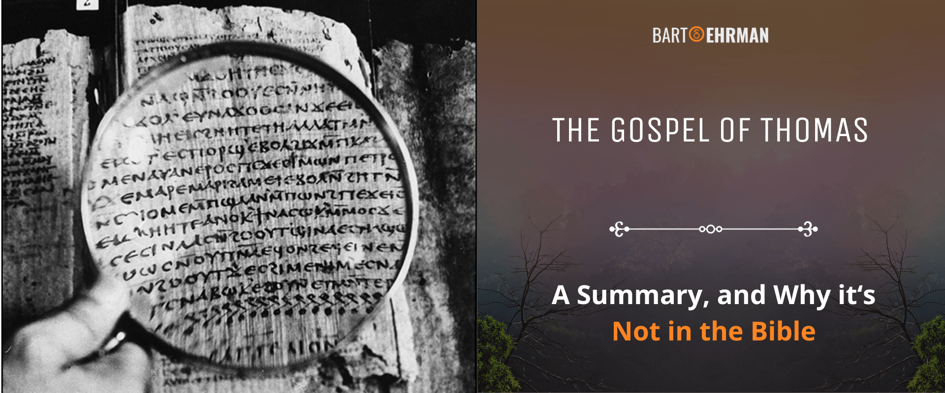 The Gospel of Thomas - Summary and Why It’s Not In the Bible The Gospel of Thomas - Summary and Why It’s Not In the Bible