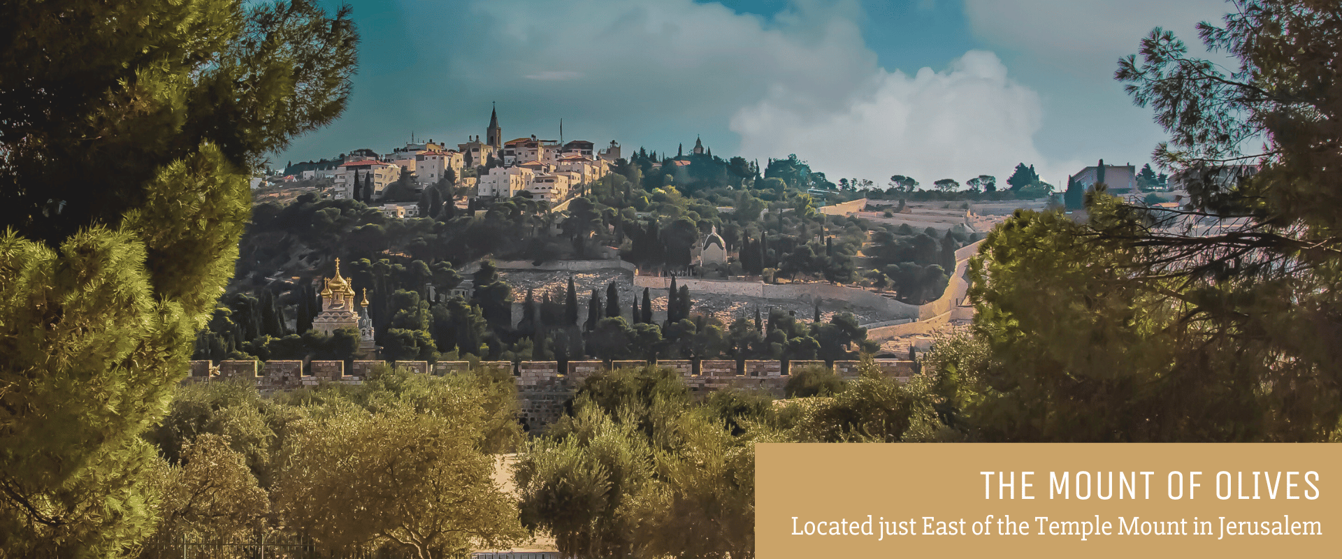 The Mount of Olives - Located East of the Temple Mount in Jerusalem The Mount of Olives - Located East of the Temple Mount in Jerusalem