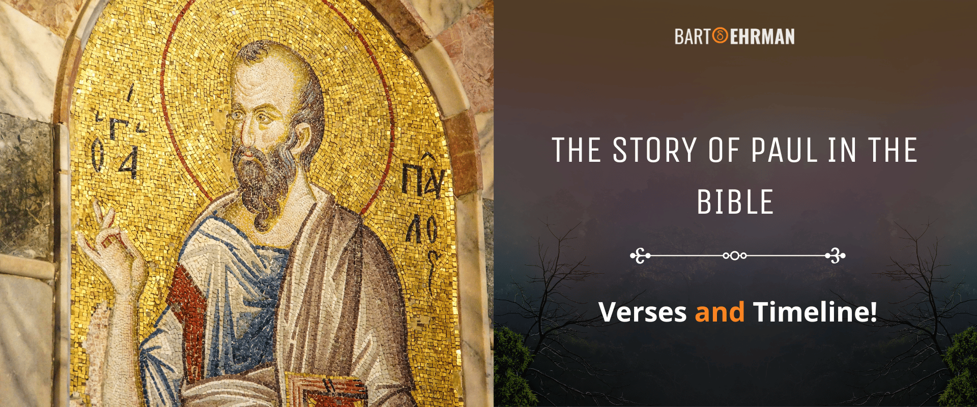 The Story of Paul in the Bible (Verses & Timeline!) The Story of Paul in the Bible (Verses & Timeline!)