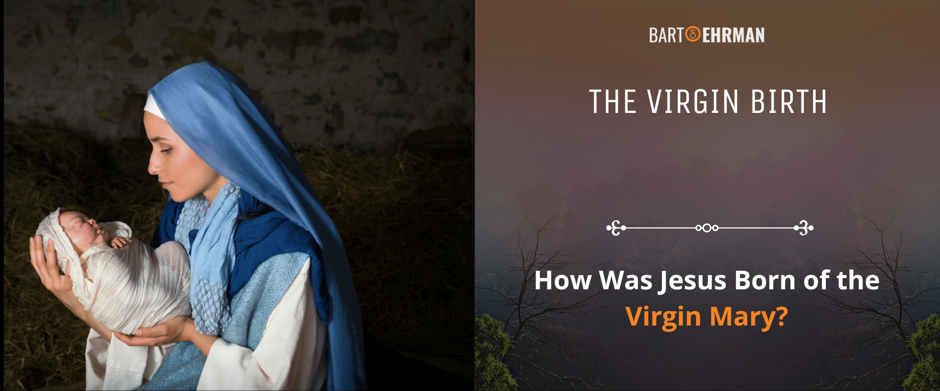 The Virgin Birth How Was Jesus Born of the Virgin Mary The Virgin Birth How Was Jesus Born of the Virgin Mary