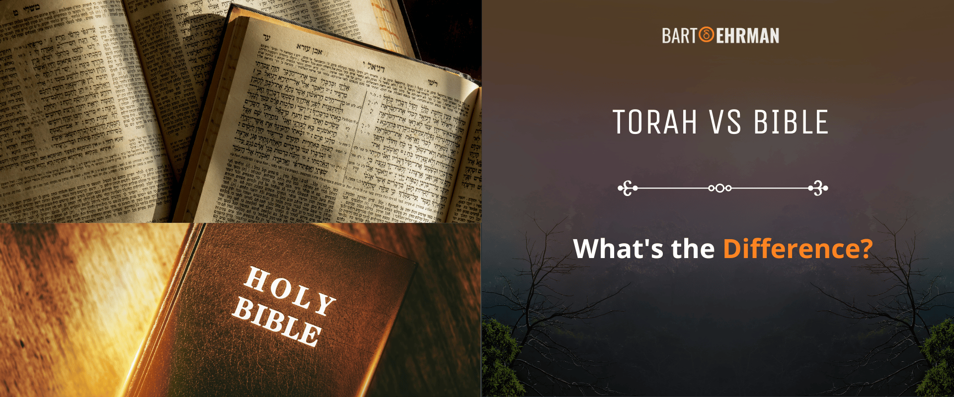 Torah vs Bible Torah vs Bible
