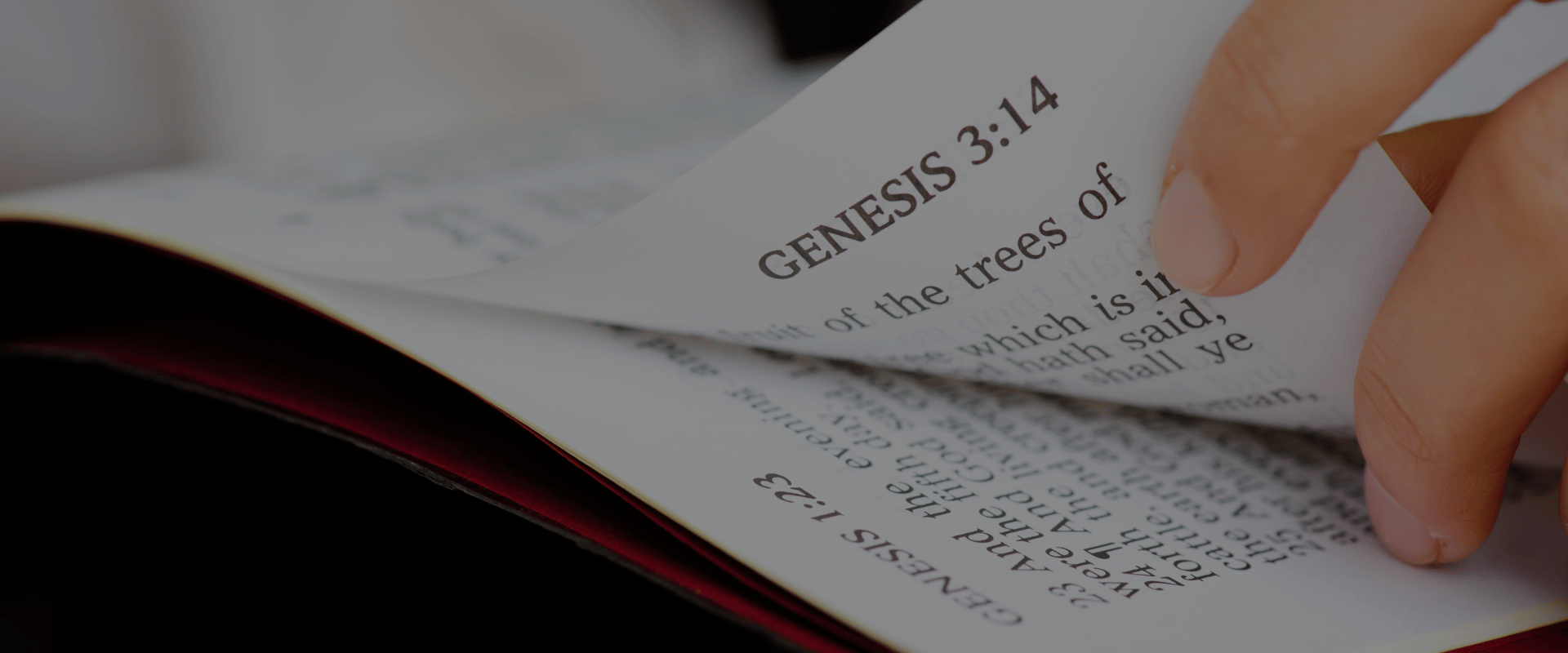 what are the first five books of the bible called_ What are the first five books of the bible called
