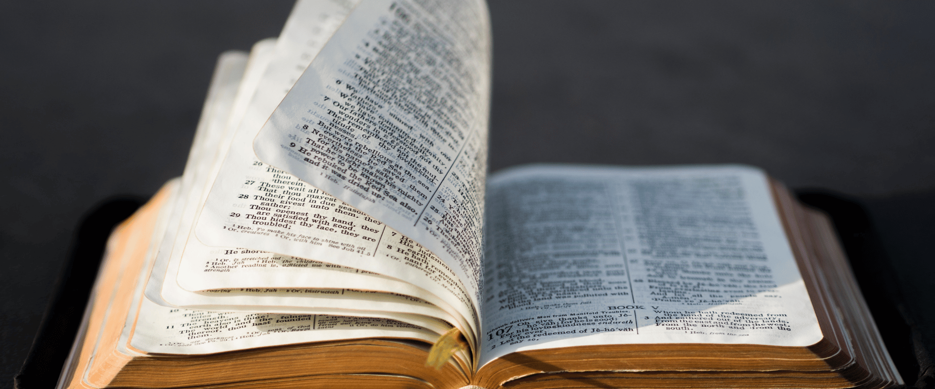 What Books Did John Write? What Books Did John Write?