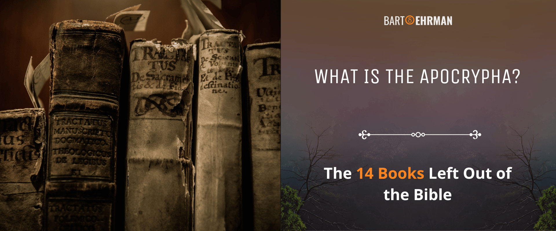 What is the Apocrypha - The 14 Books Left Out of the Bible What is the Apocrypha - The 14 Books Left Out of the Bible