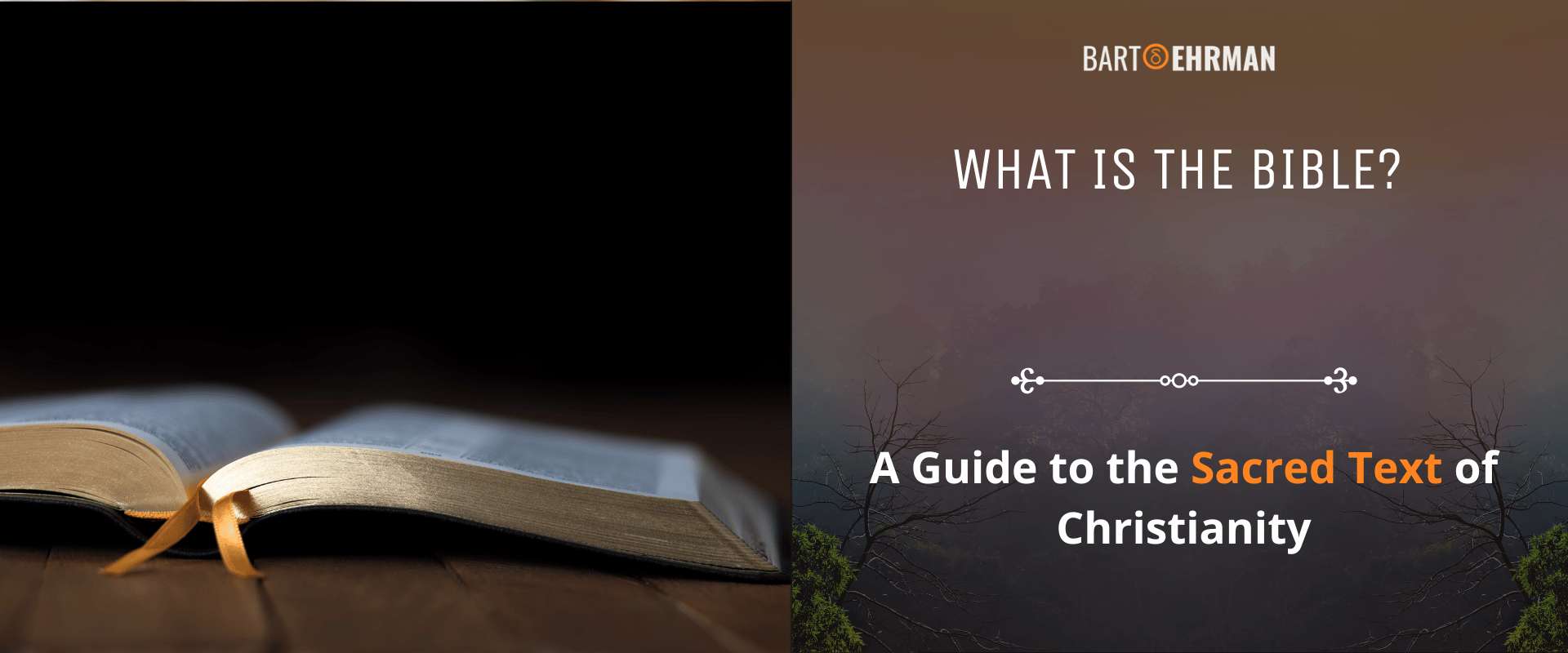 What is the Bible - A Guide to the Sacred Text of Christianity What is the Bible - A Guide to the Sacred Text of Christianity
