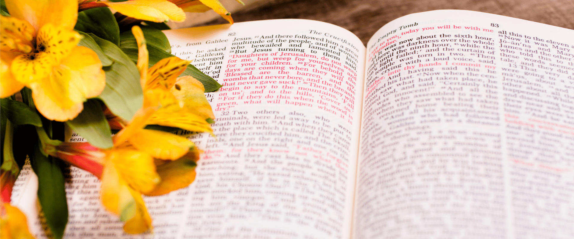What is the social context of the Gospel of Luke What is the social context of the Gospel of Luke