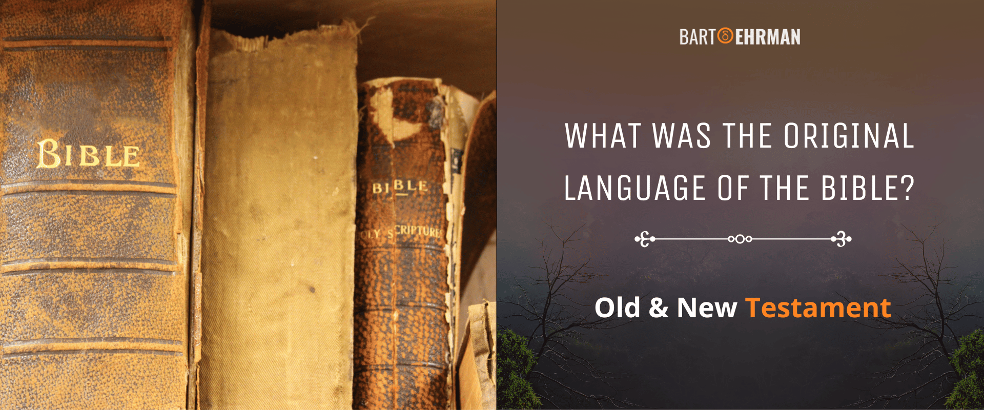 What Was the Original Language of the Bible What Was the Original Language of the Bible