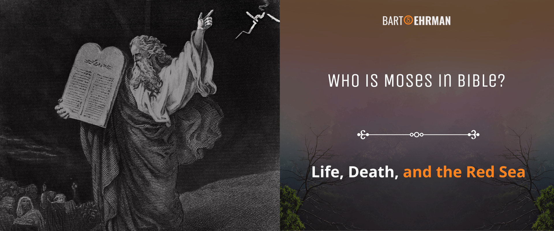 Who is Moses in the Bible Who is Moses in the Bible