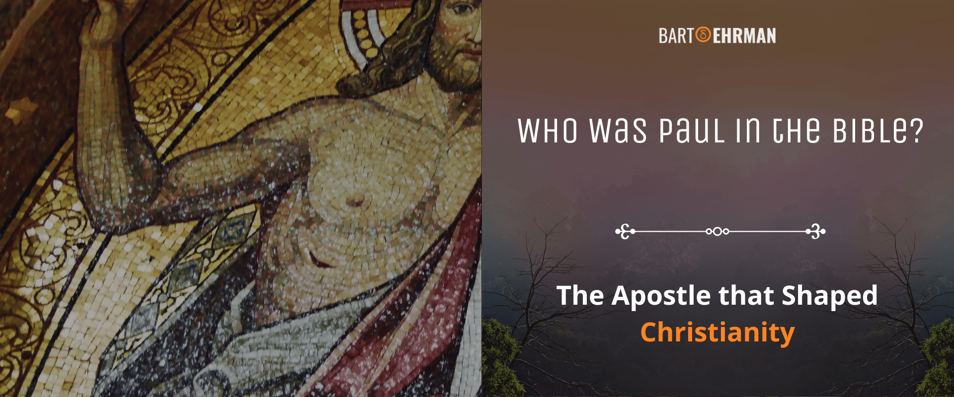Who was Paul in the Bible Bart Ehrman Who was Paul in the Bible Bart Ehrman