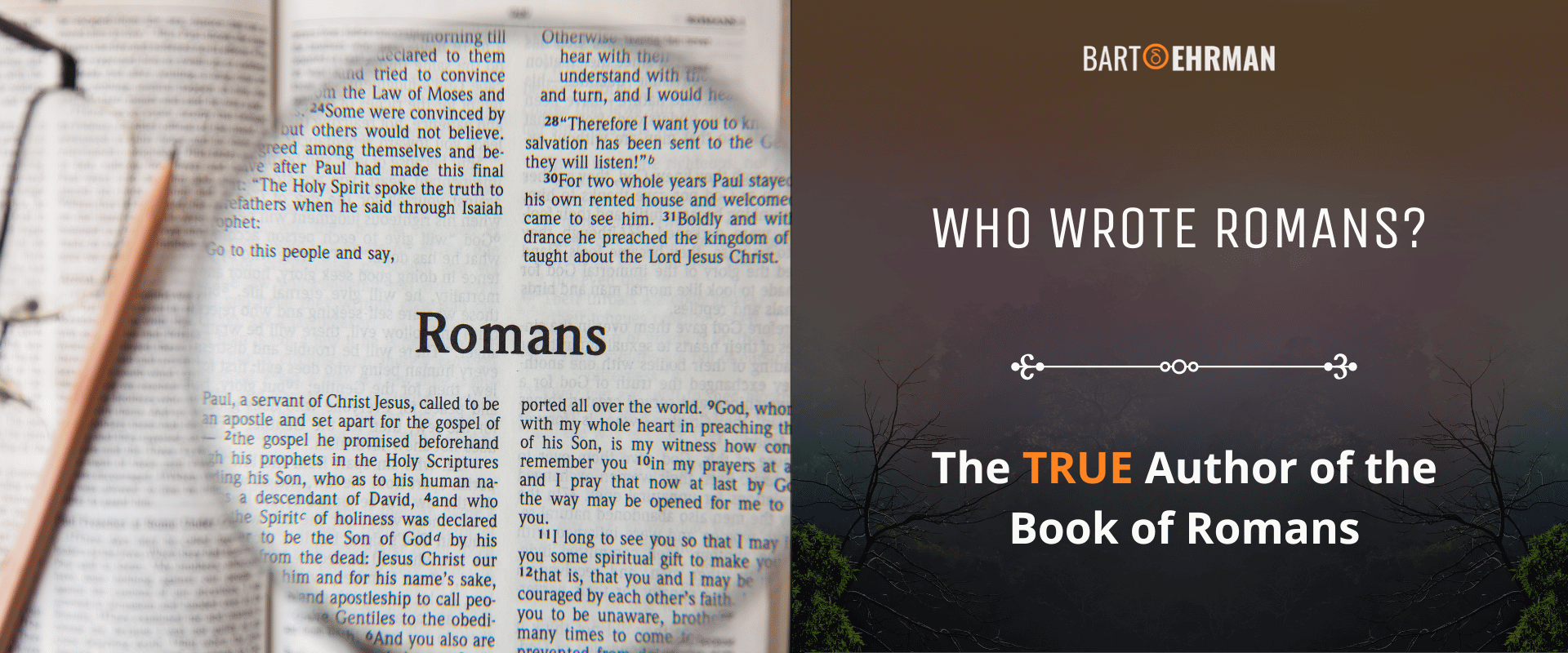 Who Wrote Romans_ The TRUE Author of the Book of Romans Who Wrote Romans_ The TRUE Author of the Book of Romans