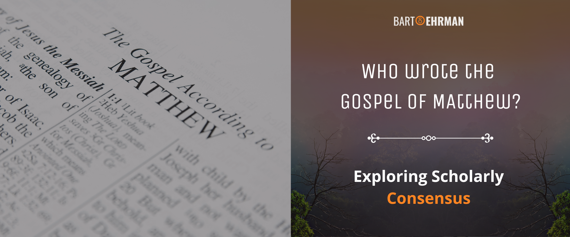 Who Wrote the Gospel of Matthew Who Wrote the Gospel of Matthew